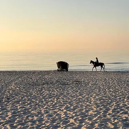Meeresrauschen 03 Apartment Neuhaus (Mecklenburg-Vorpommern)